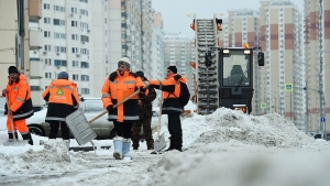 Из-под снега показались семейные связи